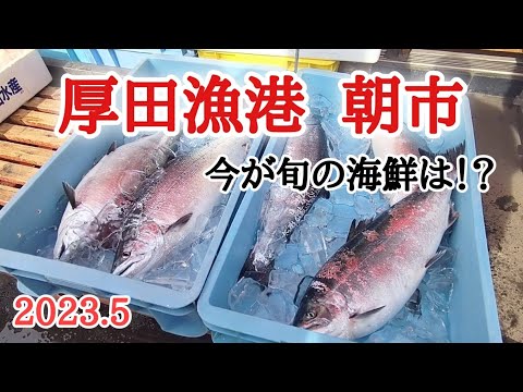 旬の海鮮を求めて朝市へ！絶品！海の幸定食の出来上がり😋