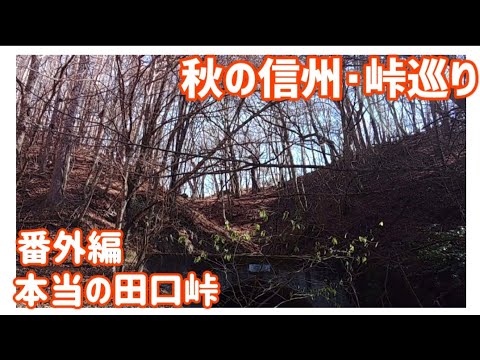 【リアル峠】秋の信州•峠巡り　番外編 本当の田口峠