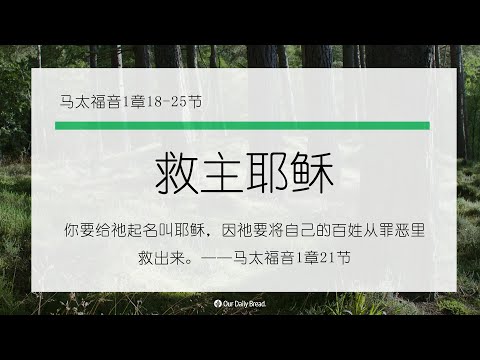 12月17日《灵命日粮》文章视频-救主耶稣