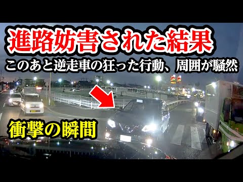 曲がった先でコイツと遭遇、狂った行動、危険だからみんな逃げて【閲覧注意】交通事故・危険運転 衝撃の瞬間【自動車 65】