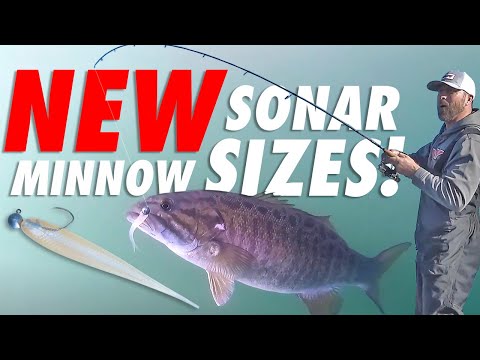 3" Not Enough? New Yum FF Sonar Minnow 4" & 5" for BIGGER BITES!