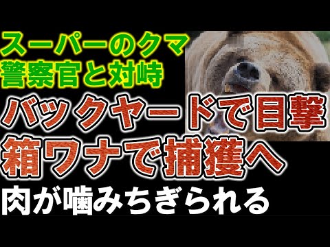 【猟友会が出動】警察がクマ目撃。バックヤードを封鎖し、箱ワナで捕獲へ。