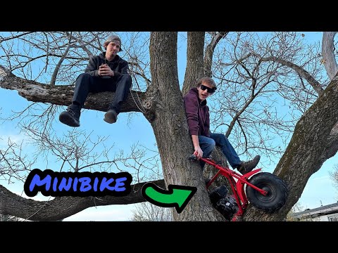 Riding a minibike in a house!