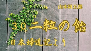 【朗読】二粒の飴  日本婦道記　山本周五郎作　朗読　芳井素直