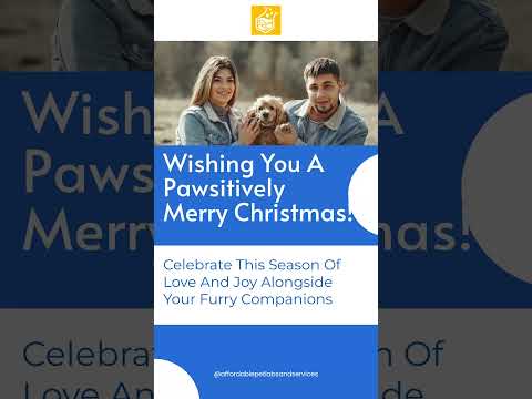 Happy Holidays from the Affordable Pet Labs Team