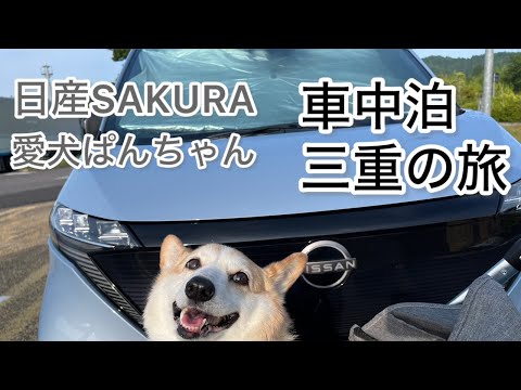 【車中泊】日産SAKURA　愛犬ぱんちゃん　車中泊　三重県　四日市　鈴鹿の旅