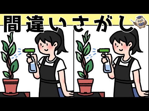 【間違い探しゲーム】おすすめ！老化予防に最適な脳トレ動画【頭の体操】