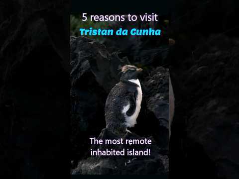 Why visit Tristan da Cunha - Worlds MOST REMOTE Community!  #travel