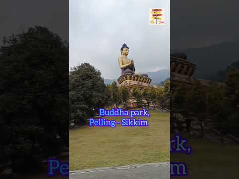 Buddha Park Sikkim 😲😲 #sikkim #buddhapark #buddha #pelling #travel #trending #2024 #viral #ytshorts