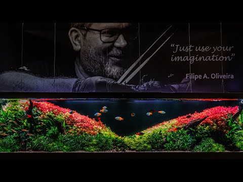 THE BEST AQUASCAPES I'VE SEEN AT VIVARIUM 2023