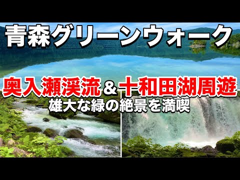 雄大な緑の絶景を存分に満喫する旅！奥入瀬渓流＆十和田湖周遊