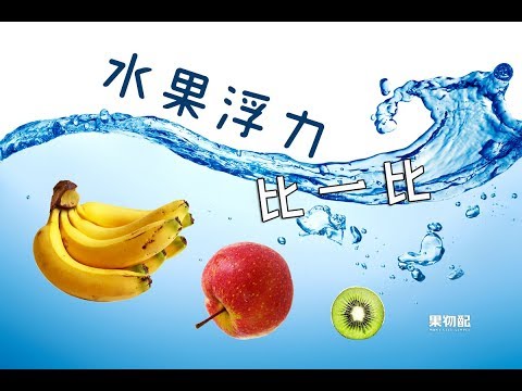 水果浮力比一比🌊