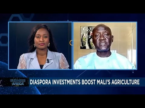 Driving Change: Diaspora Investments, Urban Farming, and Tourism Growth in Africa {Business Africa}