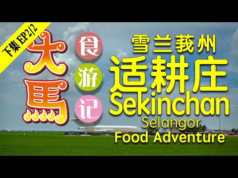 渔米之乡·适耕庄【下集·米之篇】～吃美食 ～看飞机 ～稻田风光，一日食游记 ♥️ Sekinchan：Land of Rice & Fishery EP2/2 ~ Food Adventure