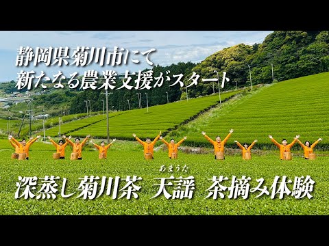 【深蒸し菊川茶で初の新茶摘み】屋久島のお茶づくりに引き続き、静岡県でも取り組みがはじまりました。新茶の爽やかな香りと共にお届けします