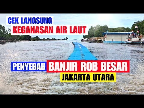 CEK LANGSUNG KEGANASAN GELOMBANG AIR LAUT PESISIR UTARA JAKARTA YANG MENJADI PENYEBAB BANJIR ROB