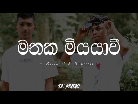 Mathaka Miyayawi | මතක මියයාවී - Slowed and Reverb (Lyrics) @HarryBoyMusic Ft Nova Xx