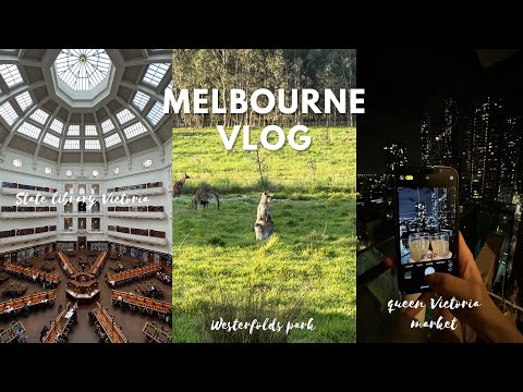 🇦🇺 free & easy Melbourne travel vlog ✈️ exploring the city in 3 days & seeing wild kangaroos 🦘