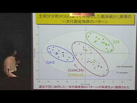 雑種強勢の制御メカニズム解明と社会実装に向けた連携調査研究　柴 博史（筑波大）