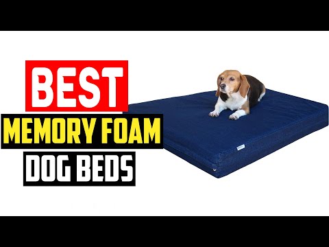 ✅Top 5 Best Orthopedic and Memory Foam Dog Beds for Pups Who Need Support