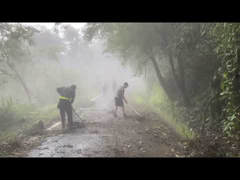 凱米颱風第20天，溪頭的鳳凰林道已通行無阻 20 days after Typhoon Kemi, Xitou‘s Fenghuang Forest Road is open to traffic