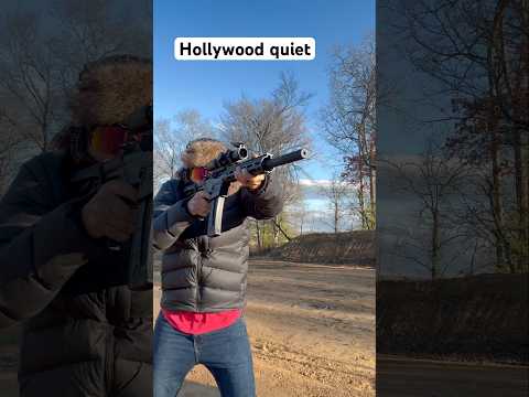 Hollywood quiet plinker. Smith & Wesson m&p 15-22 with Gemtech Integra upper.