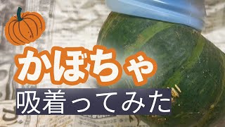 【吸着ってみた】かぼちゃ【コンバム】