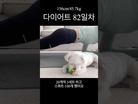 유산 후 매일 운동하게 된 이유 #다이어트82일차 #유산소운동 #다이어트일기 #다이어트식단 #브이로그 #다이어트 #식단 #살빼기 #체중 #체중감량 #복근운동 #체지방 #소고기