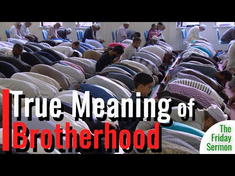 The True Meaning of Brotherhood