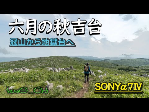 SONYα7Ⅳ【六月の秋吉台】冠山から地獄台へ