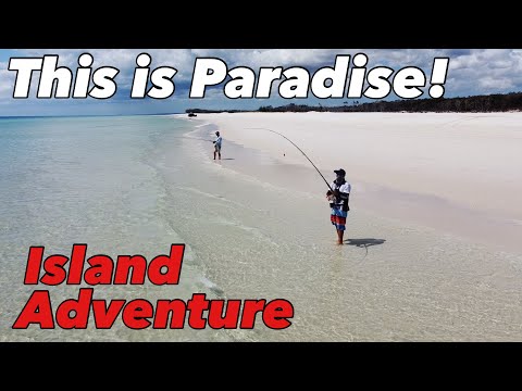 BEACH CAMPING and FISHING ADVENTURE⛺️🎣🔥- Finding a feed of fish - Fraser Island 2021- Part 1