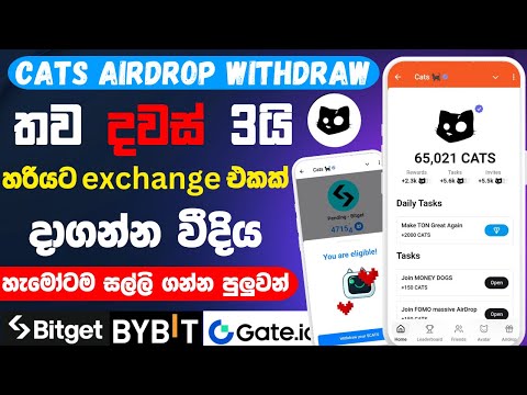 Cats airdrop withdraw sinhala | cats telegram airdrop | Cats airdrop new update | airdrop sinhala