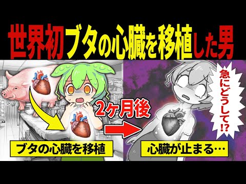 【実話】ブタの心臓を移植されたずんだもんの末路【ずんだもん＆ゆっくり解説】