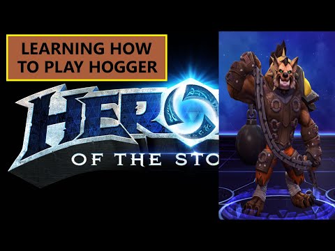 HotS: Learning How To Play Hogger