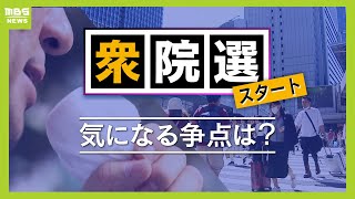 【衆院選】各党の公約をイッキ見！視聴者8000人にＬＩＮＥで調査…一番注目の争点は「政治とカネ」より「物価高・賃上げ」（2024年10月15日）