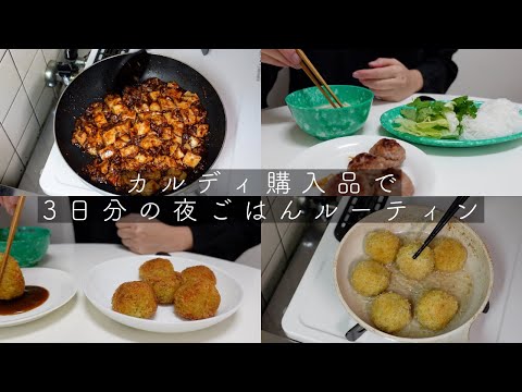 【一人暮らしvlog】カルディ購入品で3日分の夜ごはんルーティン。黒麻婆豆腐の素。アランチーニの素。ベトナム風つけ麺。レモングラスのベトナム風ドレッシング。