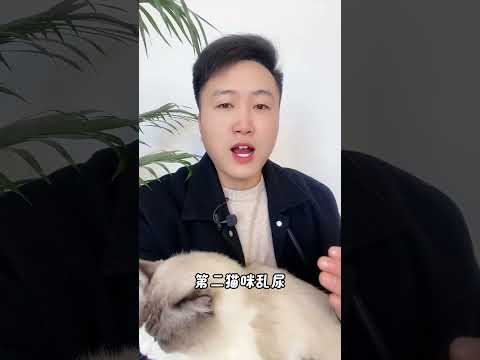 到底是谁，教你们这样养猫的？ 养猫经验分享 科学养宠攻略 养猫人 新手养猫 养猫知识