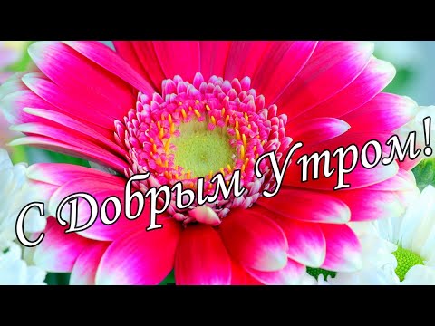 С ДОБРЫМ УТРОМ 11 Января!🌼Желаю Самого Доброго Солнечного Утра!🌼  Шикарная Музыкальная открытка 🌼