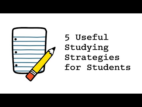 5 Useful Studying Strategies for Students