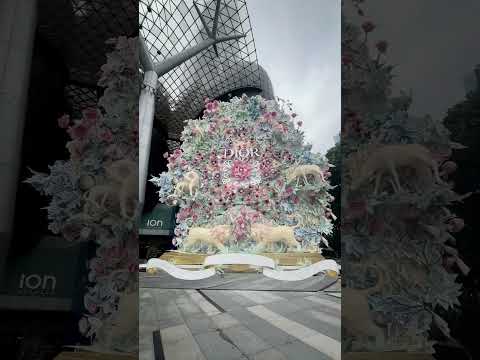 ION ORCHARD 15-metre-tall Christian Dior Christmas Star #christmas2024 #orchard #sg