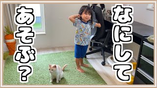 【朗報】猫と会話ができる3歳児がこちらです