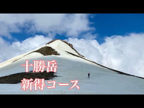 【2023】 十勝岳 新得コース 春スキー バックカントリー山スキー 【北海道雪山登山ガイド】Mt. Tokachi  Ski Tour Hokkaido