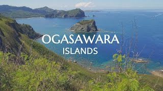 OGASAWARA Beautiful Islands 2015 - 小笠原 父島の美しい海