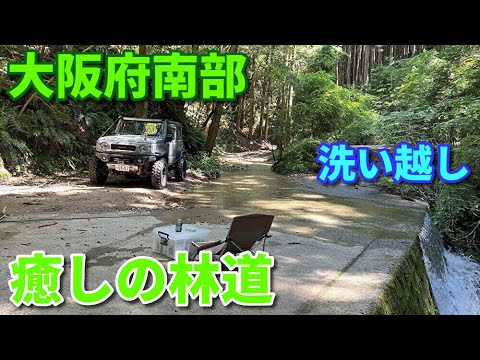 【大阪府南部】癒しの林道