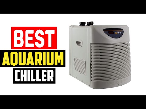 ✅Best Aquarium Chiller in 2023