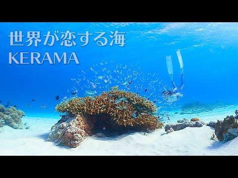 Snorkeling in Kerama | 慶良間でシュノーケリング