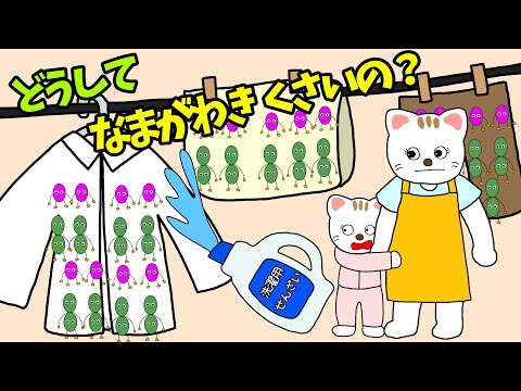 【アニメ 絵本読み聞かせ】主婦の悩み生乾き臭〜どうして生乾きくさいの？〜