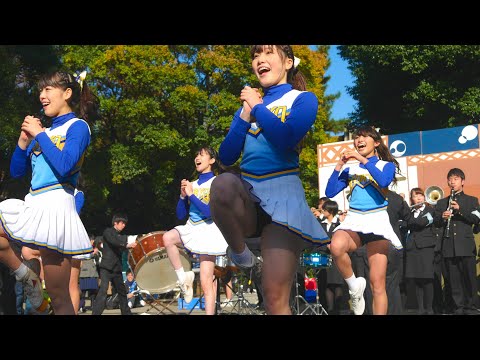 駒場祭2016 チャンスパターンメドレー&応援歌 東京大学運動会応援部 チアリーダーズ KRANZ