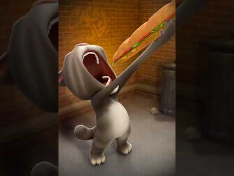 Talking Tom eats Sandwich