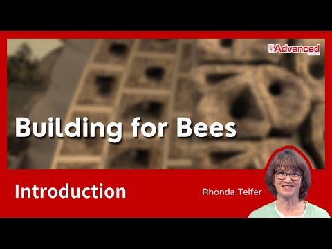 為蜜蜂蓋房子 Building for Bees